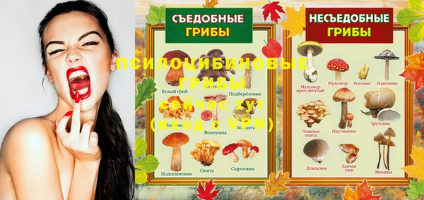 спайс Беломорск