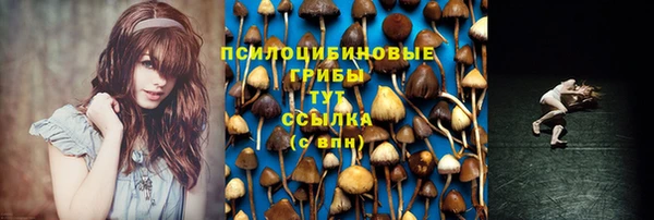 спайс Беломорск