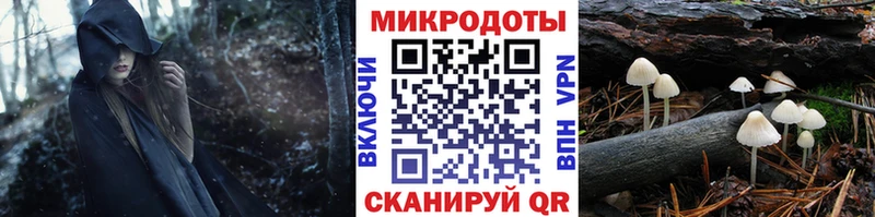 Купить закладки  Комсомольск  Псилоцибиновые грибы мицелий 